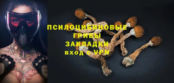 a pvp Аркадак