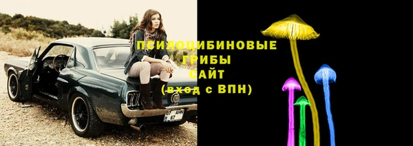 эйфоретик Армянск