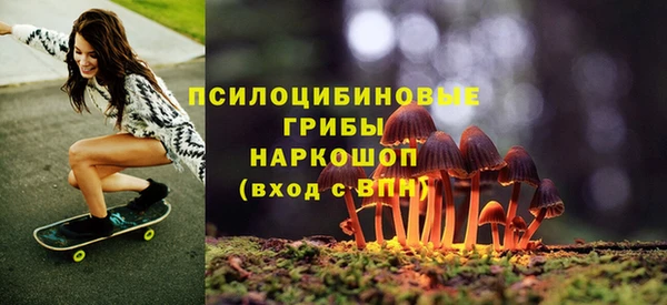 a pvp Аркадак