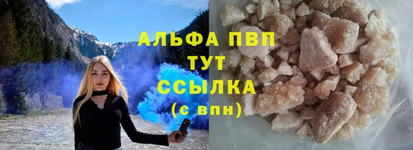 a pvp Аркадак